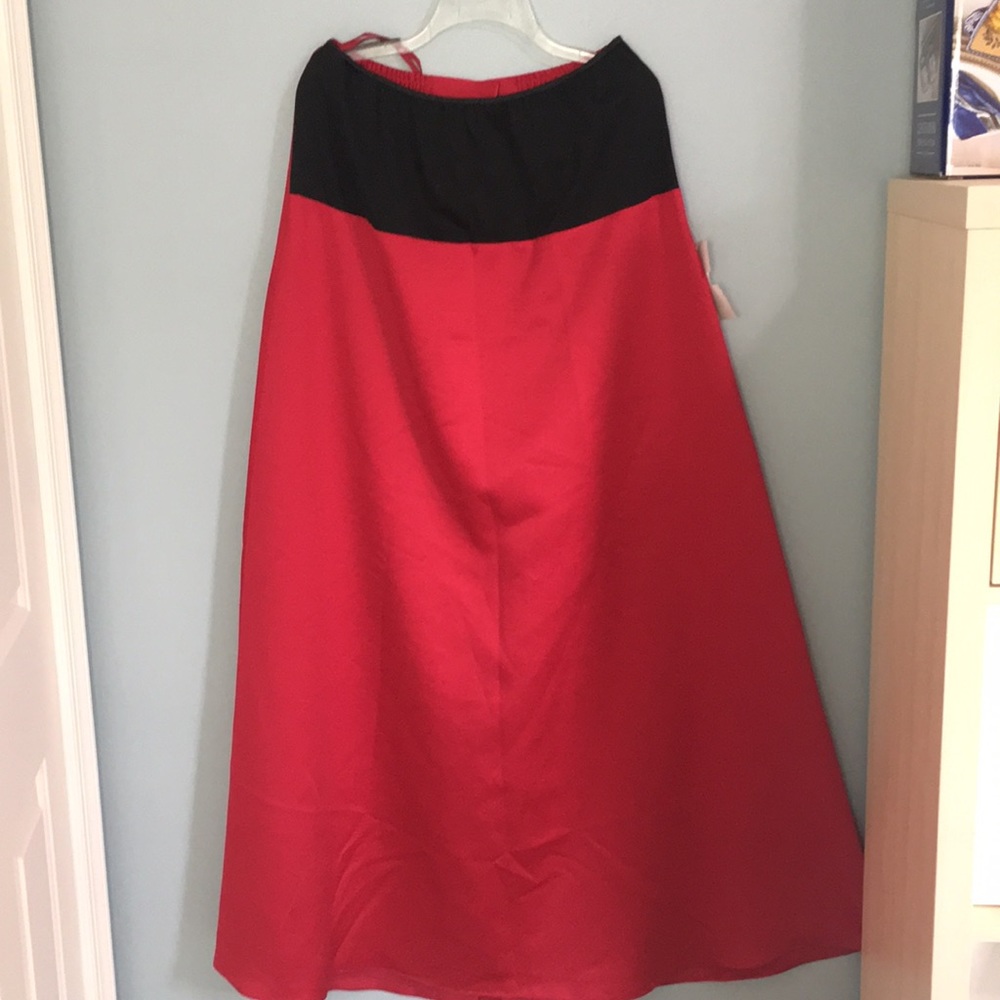 NWT Long Cranberry Skirt with panel